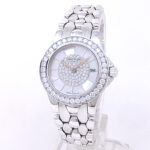 Patek Philippe Neptune 4881/110G 18k White Gold Mother of Pearl Diamond Dial